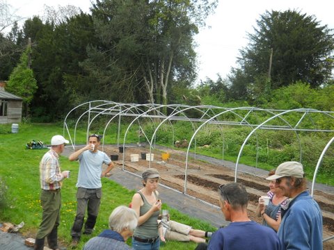 Erecting the new polytunnel