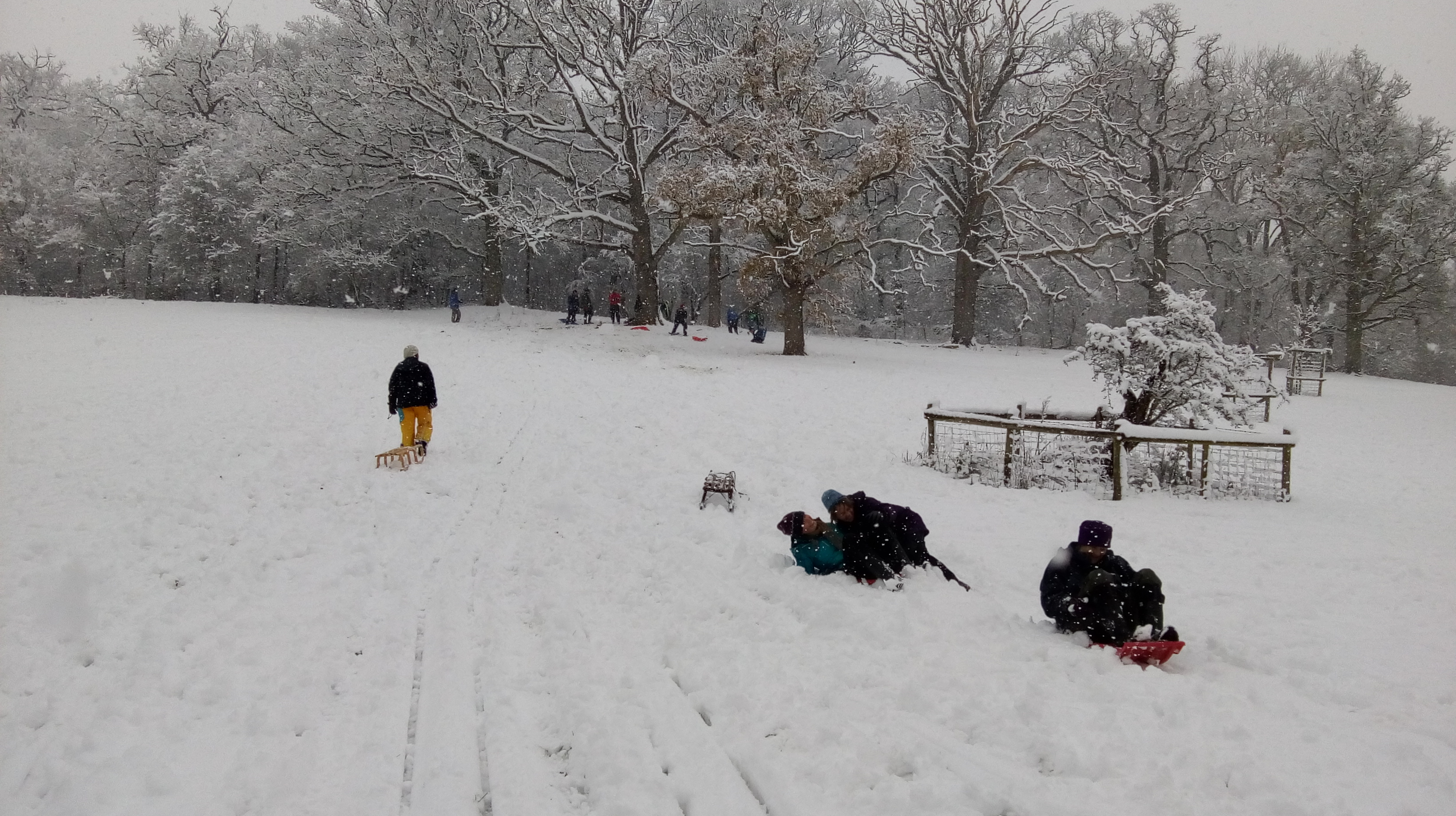 Sledging at the Homend 1