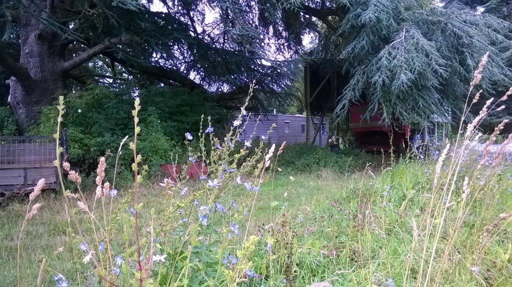 WP_20170802_15_55_13_Pro.jpg