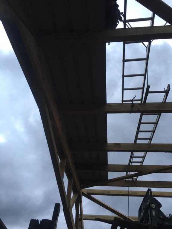 first panels on!.jpg