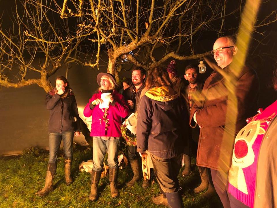 wassail 2