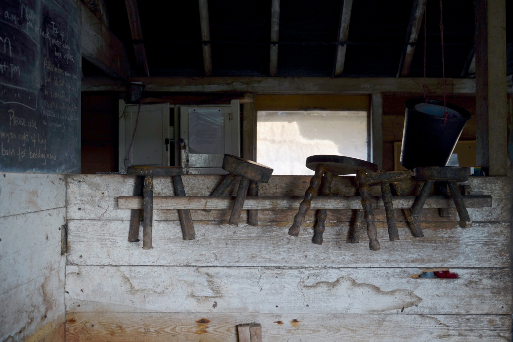 _DSC2120.jpeg