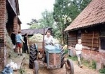 hay1.jpg