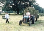 hay2.jpg