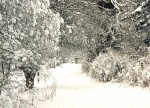 image4.jpg