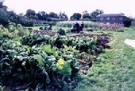 walledgarden1.jpg