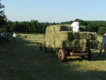 Hay-making 2006 003.jpg