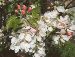 Picture 002.jpg