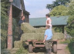 Picture 127 _2_.jpg