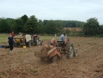 Potatoes 2005 011.jpg
