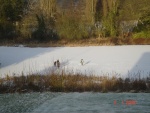 January Lake.JPG
