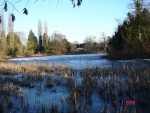 Lake in January.JPG