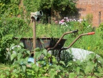 in the walled garden.JPG
