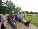 trailer ride back up to the fields.JPG