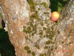 Easter Egg Hunt 2.JPG