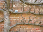 easter egg hunt 5.JPG