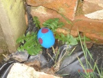 easter egg hunt 7.JPG