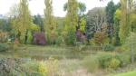 lake.jpg