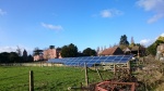 bright January day