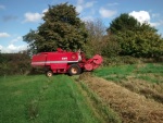 combine5.jpg