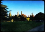 front lawn.JPG