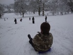 sledging