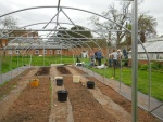 new polytunnel 2