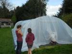 new polytunnel 3