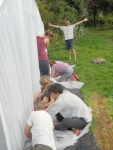 new polytunnel 4
