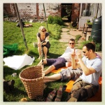 new polytunnel 6