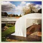 new polytunnel 8