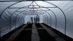 new polytunnel 9
