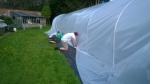 new polytunnel 10