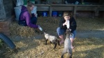 feeding the Hero and Hetty