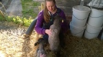 Rowan with Hero and Hetty