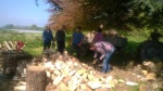 wood gang 1