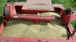 oats harvest 2