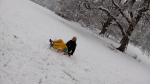 IMG_20171210_121357.jpg