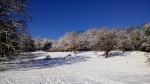 IMG_20171211_112820.jpg