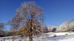 IMG_20171211_112815.jpg