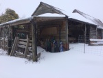 IMG_6005.JPG