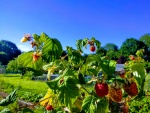 IMG_20180625_181536-EFFECTS.jpg
