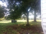 IMG-20170803-WA0005.jpg