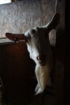 _DSC2027.jpeg
