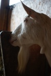 _DSC2034.jpeg