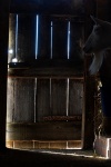 _DSC2081.jpeg