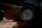 _DSC2115.jpeg
