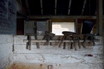 _DSC2120.jpeg