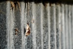 _DSC2272.jpeg