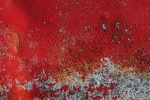 _DSC2289.jpeg